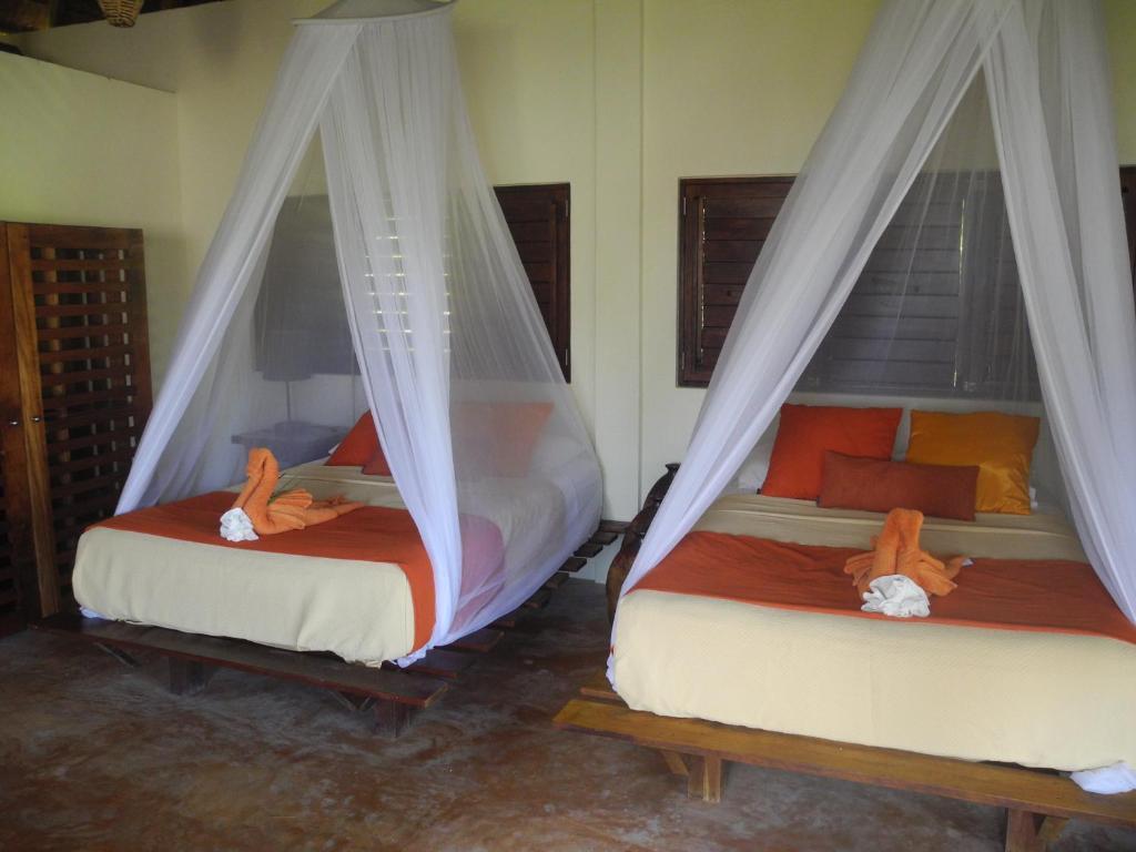 Sol Caribe Hotel Punta Allen Room photo